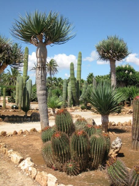 Снова в Испанию, или прогулки по Майорке. День 4.