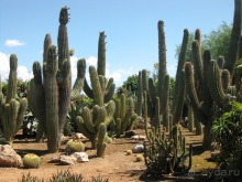 Снова в Испанию, или прогулки по Майорке. День 4.