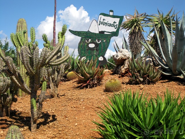 Снова в Испанию, или прогулки по Майорке. День 4.