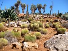 Снова в Испанию, или прогулки по Майорке. День 4.