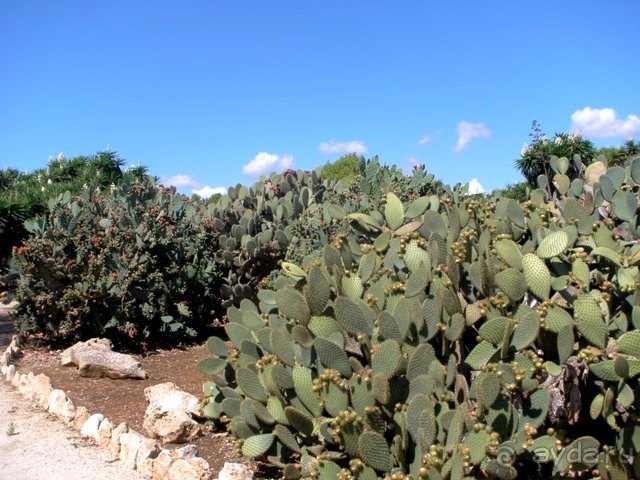 Снова в Испанию, или прогулки по Майорке. День 4.