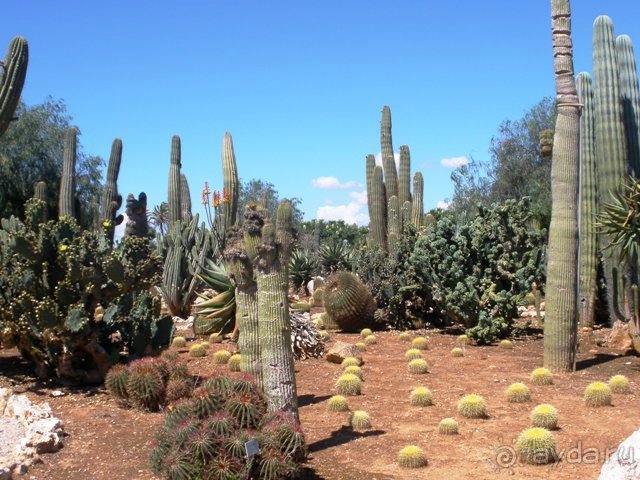Снова в Испанию, или прогулки по Майорке. День 4.