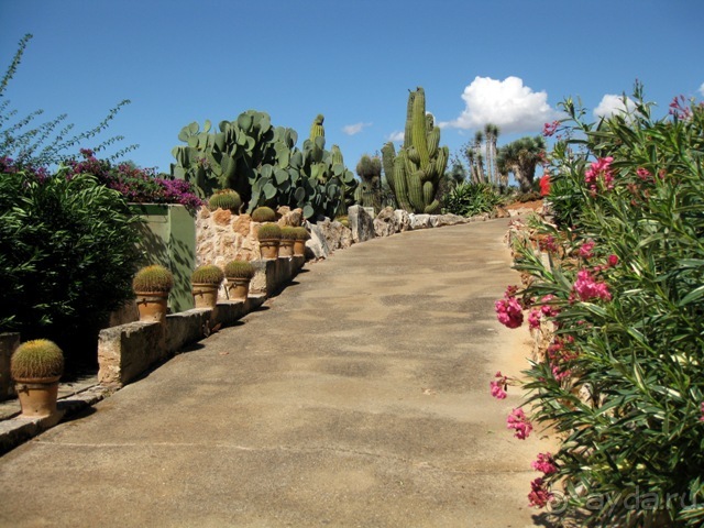 Снова в Испанию, или прогулки по Майорке. День 4.