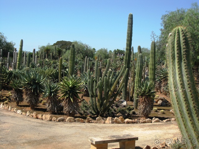 Снова в Испанию, или прогулки по Майорке. День 4.