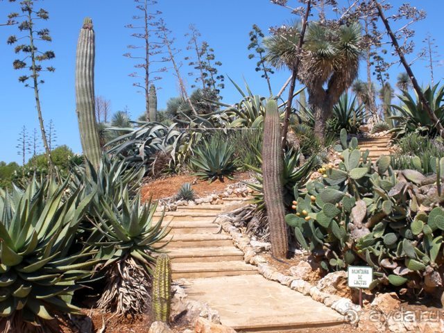 Снова в Испанию, или прогулки по Майорке. День 4.