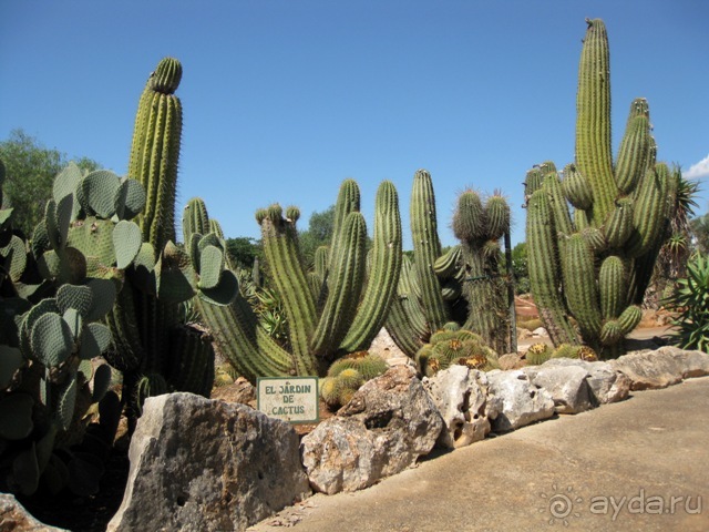 Снова в Испанию, или прогулки по Майорке. День 4.