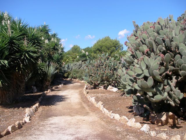 Снова в Испанию, или прогулки по Майорке. День 4.