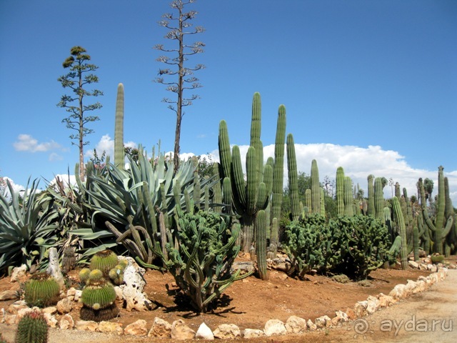 Снова в Испанию, или прогулки по Майорке. День 4.