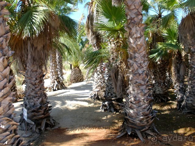 Снова в Испанию, или прогулки по Майорке. День 4.