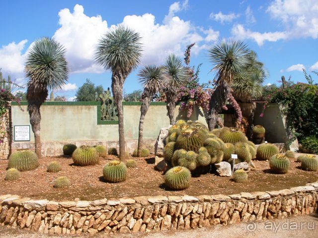 Снова в Испанию, или прогулки по Майорке. День 4.