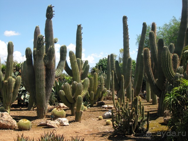 Снова в Испанию, или прогулки по Майорке. День 4.