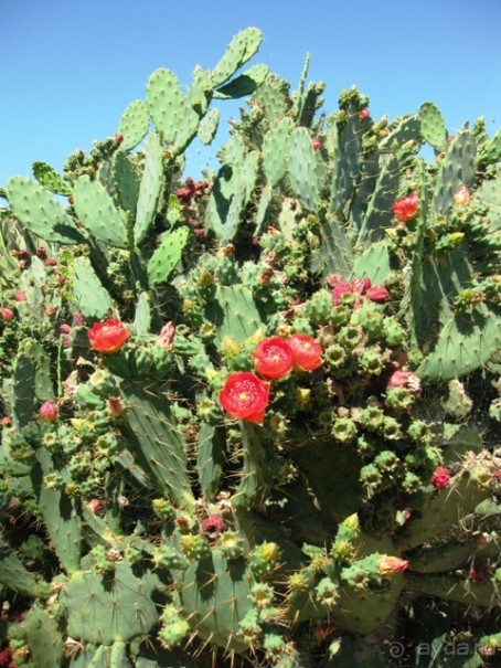 Снова в Испанию, или прогулки по Майорке. День 4.