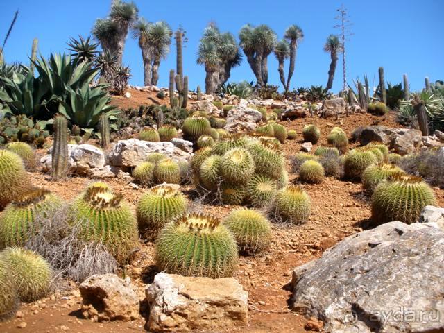 Снова в Испанию, или прогулки по Майорке. День 4.