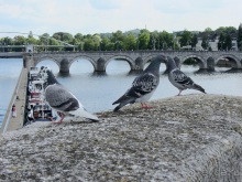 Бельгийские бродилки, пыхтелки и вопилки (с заездом в Маастрихт). Часть 12