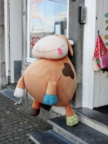 Бельгийские бродилки, пыхтелки и вопилки (с заездом в Маастрихт). Часть 12