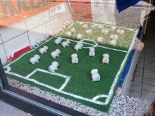 Бельгийские бродилки, пыхтелки и вопилки (с заездом в Маастрихт). Часть 12