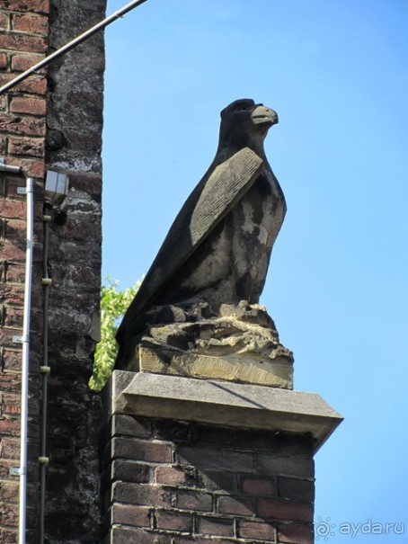 Бельгийские бродилки, пыхтелки и вопилки (с заездом в Маастрихт). Часть 12