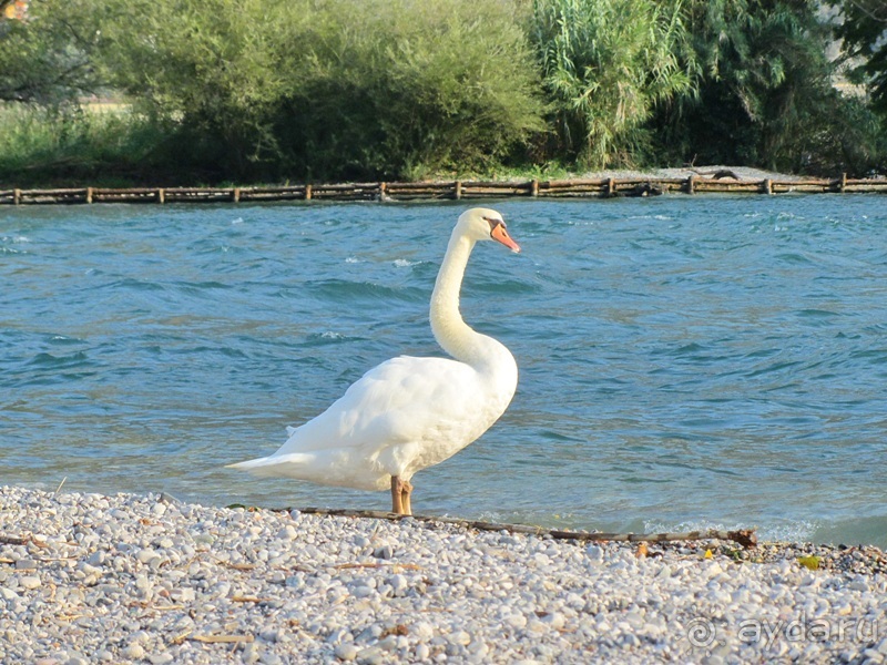 Пицца "североитальянская": Венеция и Венето, Тренто, Падуя и северная Гарда. Часть 8