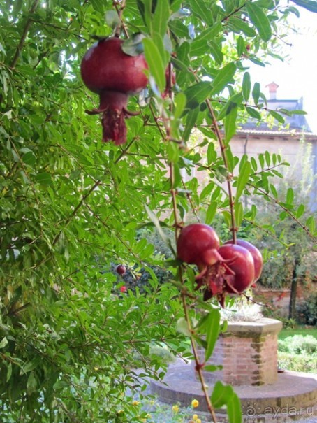 Эмилия-Романья вдоль и немного поперёк (Болонья и окрестности). Часть 4
