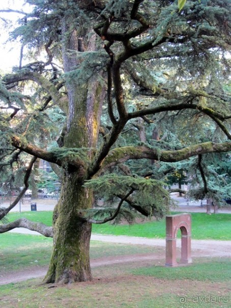 Эмилия-Романья вдоль и немного поперёк (Болонья и окрестности). Часть 4