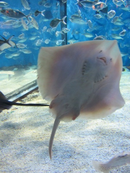 Тайны Барселоны, или была ли жизнь до Гауди ? Часть 4