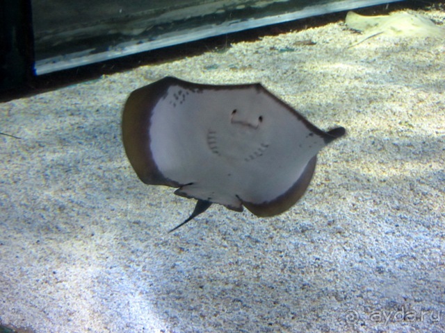 Тайны Барселоны, или была ли жизнь до Гауди ? Часть 4