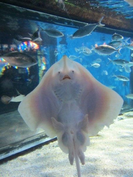 Тайны Барселоны, или была ли жизнь до Гауди ? Часть 4