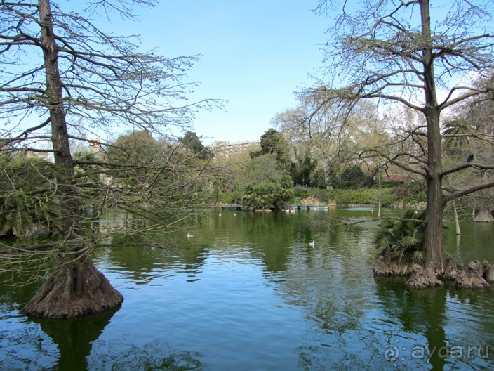 Тайны Барселоны, или была ли жизнь до Гауди ? Часть 4