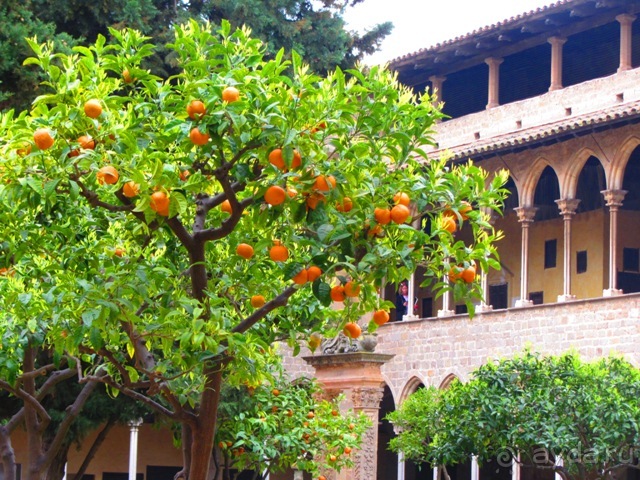 Тайны Барселоны, или была ли жизнь до Гауди ? Часть 4