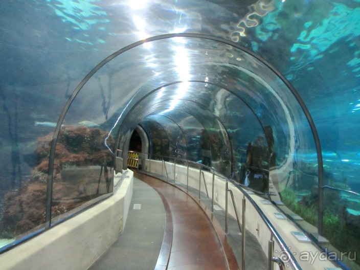 Тайны Барселоны, или была ли жизнь до Гауди ? Часть 4