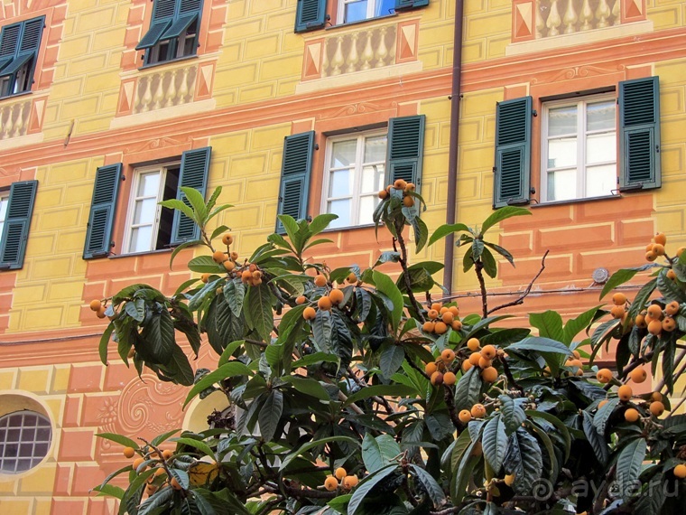 Лигурия западная и восточная. Генуя и окрестности. Часть 5