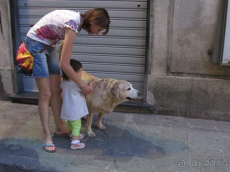 Лигурия западная и восточная. Генуя и окрестности. Часть 5