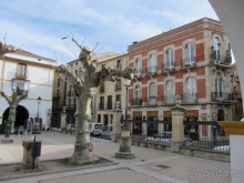 Как мы спасали ёжика и другие прогулки по Кастилии и вокруг Мадрида. Часть 7