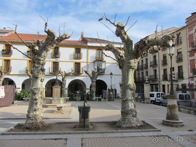 Как мы спасали ёжика и другие прогулки по Кастилии и вокруг Мадрида. Часть 7