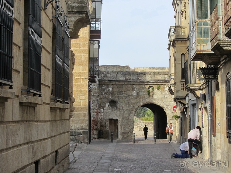 Как мы спасали ёжика и другие прогулки по Кастилии и вокруг Мадрида. Часть 7