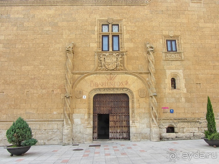 Как мы спасали ёжика и другие прогулки по Кастилии и вокруг Мадрида. Часть 7