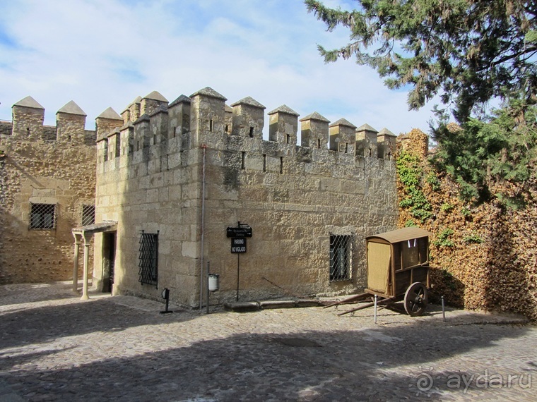 Как мы спасали ёжика и другие прогулки по Кастилии и вокруг Мадрида. Часть 7