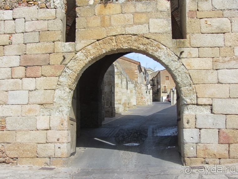 Как мы спасали ёжика и другие прогулки по Кастилии и вокруг Мадрида. Часть 7