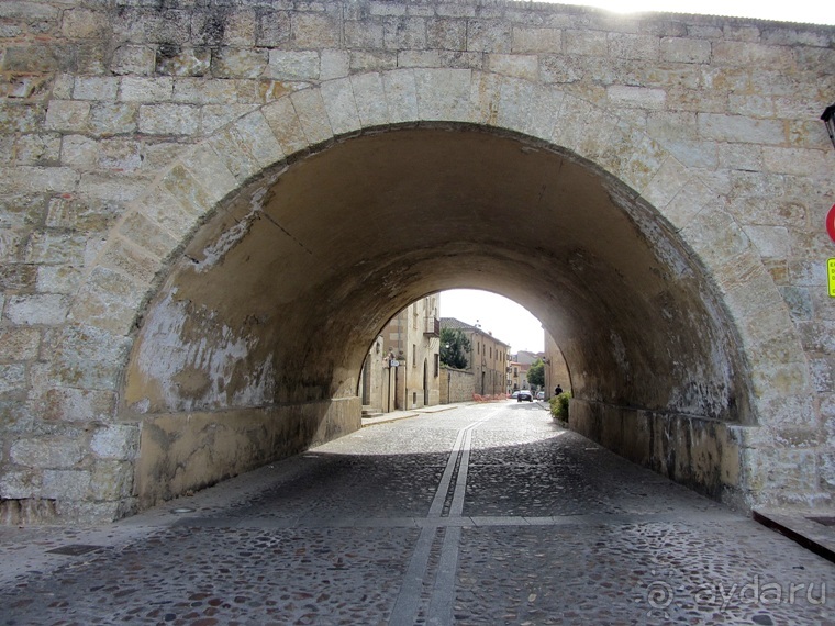 Как мы спасали ёжика и другие прогулки по Кастилии и вокруг Мадрида. Часть 7