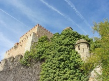 Как мы спасали ёжика и другие прогулки по Кастилии и вокруг Мадрида. Часть 7