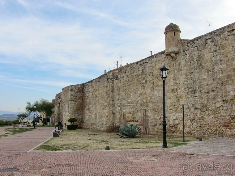 Как мы спасали ёжика и другие прогулки по Кастилии и вокруг Мадрида. Часть 7