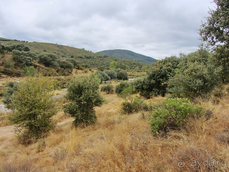 Как мы спасали ёжика и другие прогулки по Кастилии и вокруг Мадрида. Часть 11