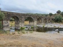 Как мы спасали ёжика и другие прогулки по Кастилии и вокруг Мадрида. Часть 11