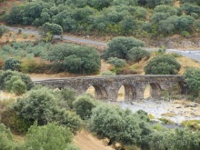 Как мы спасали ёжика и другие прогулки по Кастилии и вокруг Мадрида. Часть 11