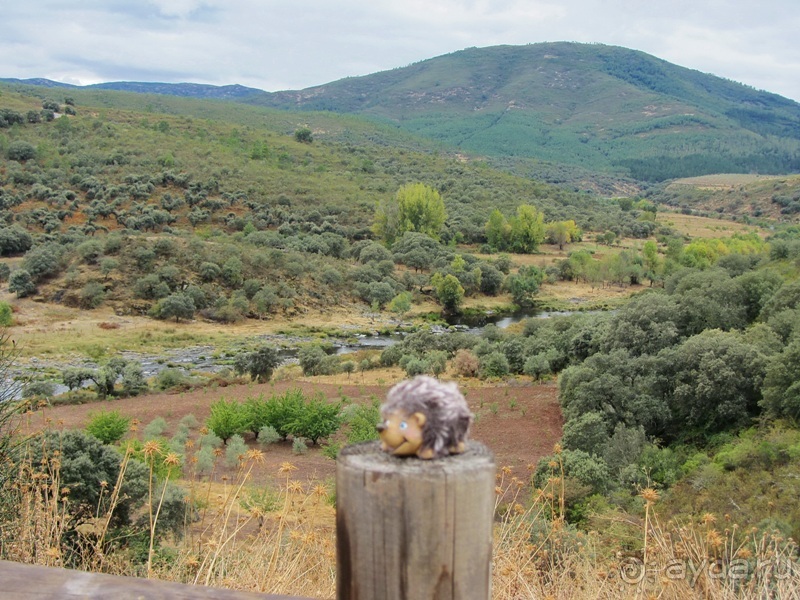 Как мы спасали ёжика и другие прогулки по Кастилии и вокруг Мадрида. Часть 11