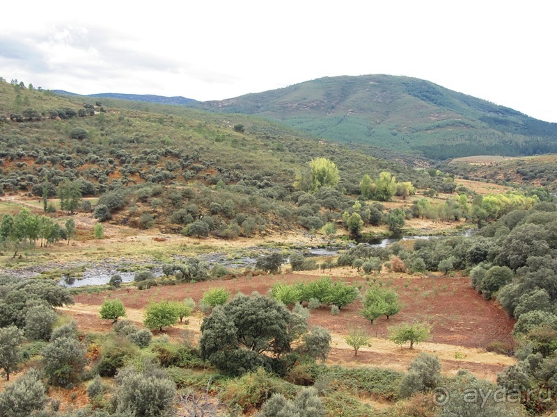 Как мы спасали ёжика и другие прогулки по Кастилии и вокруг Мадрида. Часть 11