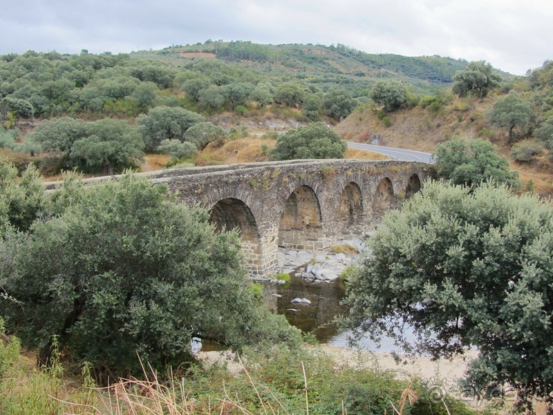 Как мы спасали ёжика и другие прогулки по Кастилии и вокруг Мадрида. Часть 11