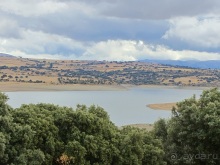 Как мы спасали ёжика и другие прогулки по Кастилии и вокруг Мадрида. Часть 11