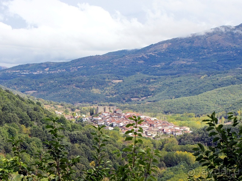 Как мы спасали ёжика и другие прогулки по Кастилии и вокруг Мадрида. Часть 11 Как мы спасали ёжика и другие прогулки по Кастилии и вокруг Мадрида. Часть 11