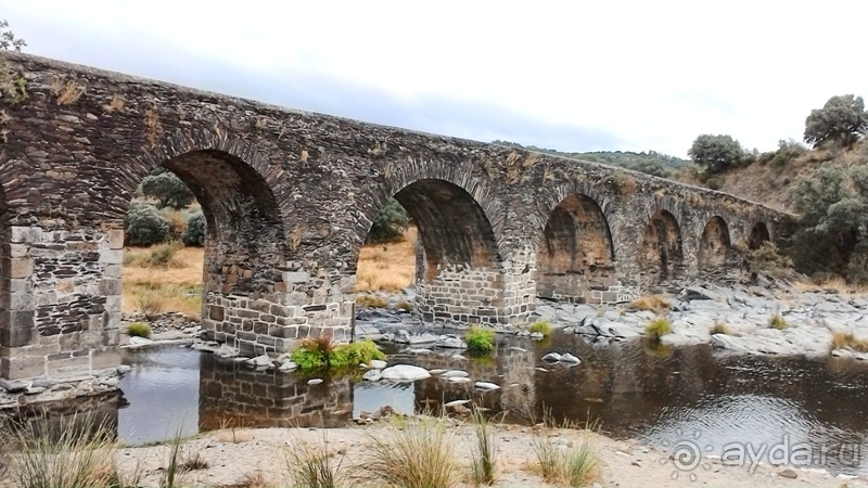 Как мы спасали ёжика и другие прогулки по Кастилии и вокруг Мадрида. Часть 11 Как мы спасали ёжика и другие прогулки по Кастилии и вокруг Мадрида. Часть 11